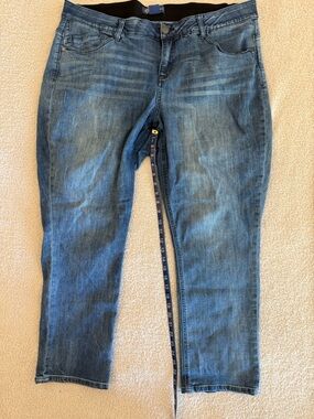 Democracy Blue Label Plus-Size Jeans